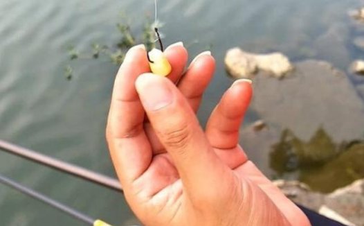 确认过眼神，这3种天然饵专攻大物