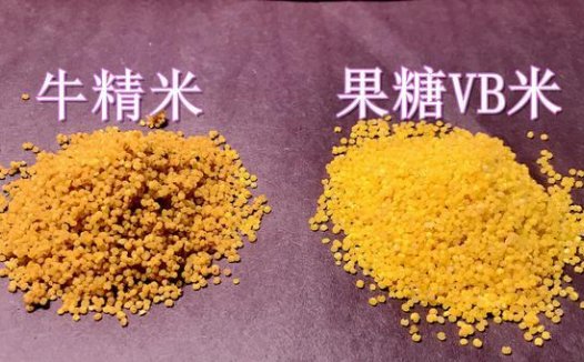 找好用的酒米难？从2款自制药米，发现3种用法能上鱼更多