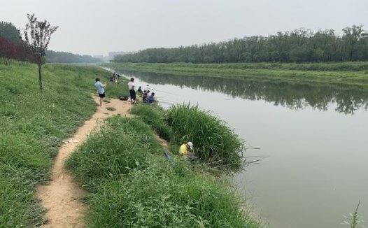 野战蓝鲫x5三兄弟，鱼饵厂家升级换代的3种隐秘方式