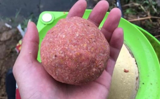 鱼不开口加点腥！钓箱里常备这几种腥饵，野钓鲫鲤鱼获多